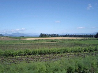 080804_0911~0001.jpg